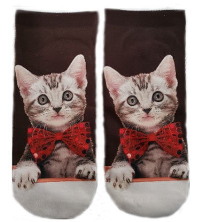 Socks & Tights