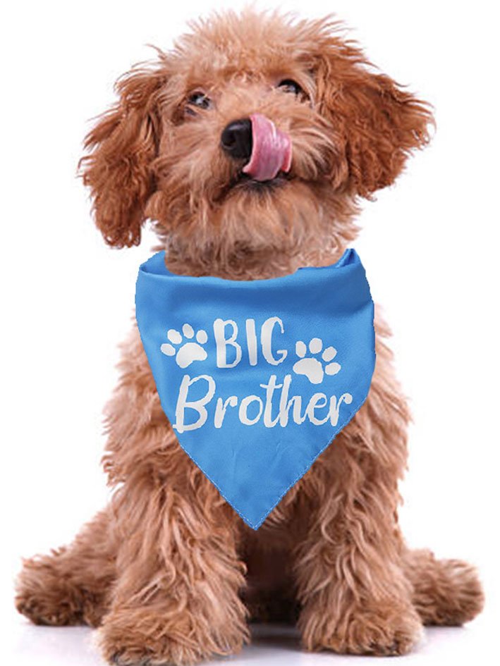 Pet Character Print Bib
