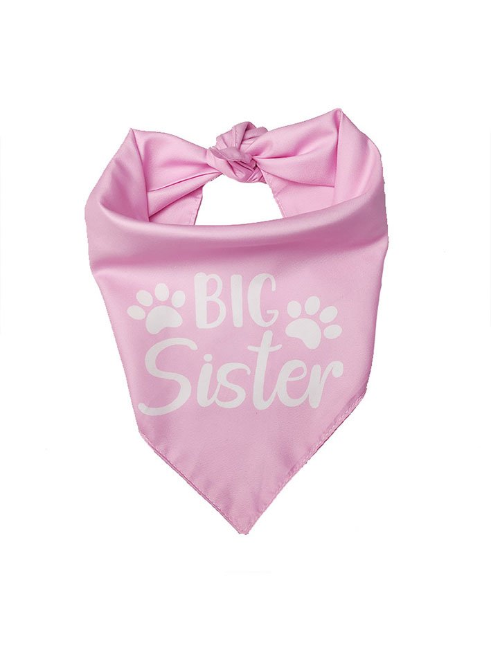 Pet Character Print Bib