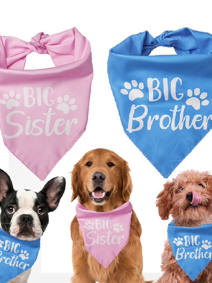 Pet Character Print Bib