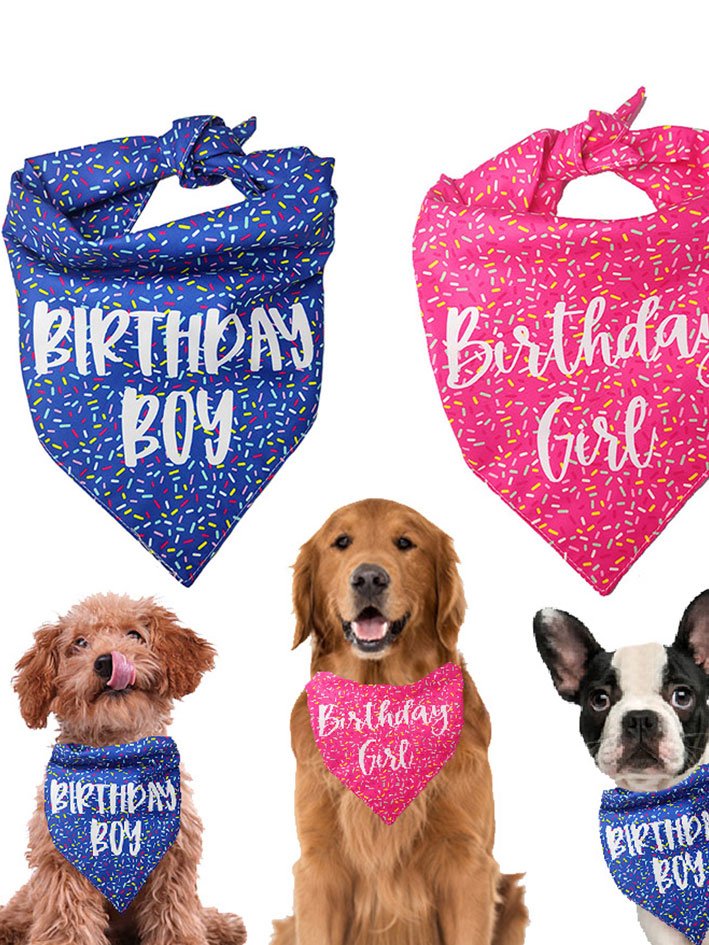 Pet Text Letters Print bib
