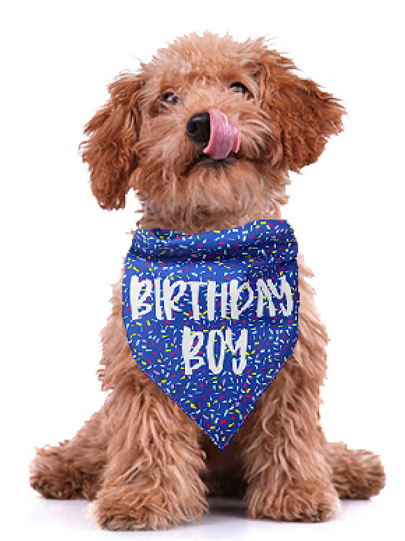 Pet Text Letters Print bib