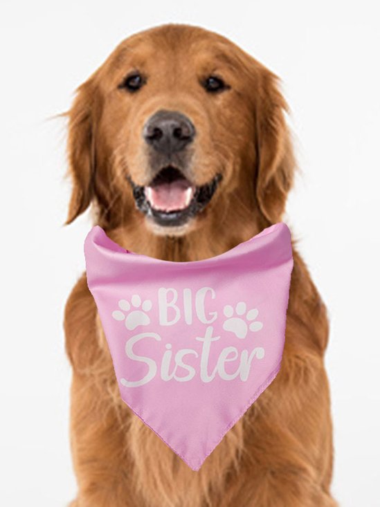 Pet Character Print Bib