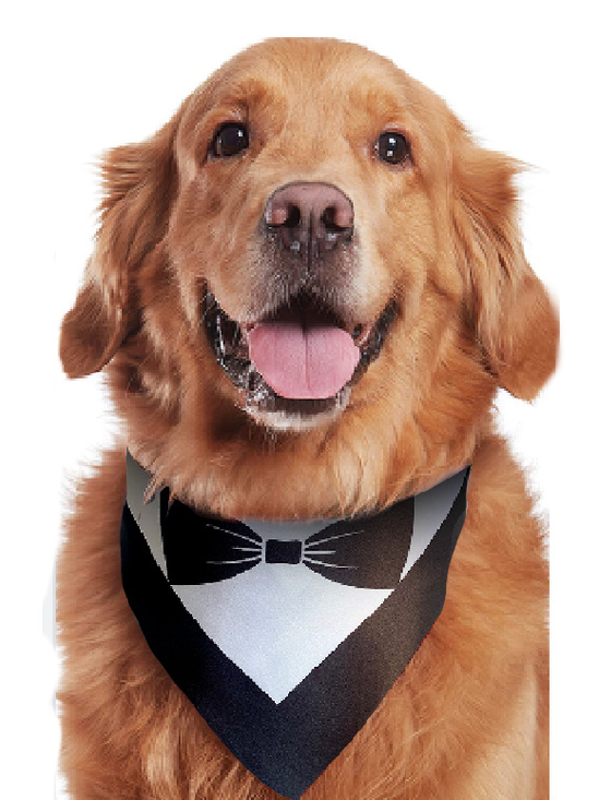 Pet Print Bib For Wedding
