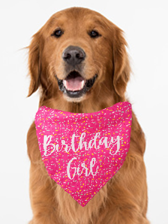 Pet Text Letters Print bib