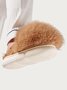 Plush Warm Cute Hedgehog Home Cotton Slippers