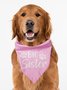 Pet Character Print Bib
