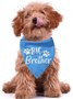 Pet Character Print Bib
