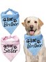 Pet Birthday Print Bib