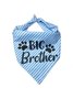 Pet Birthday Print Bib