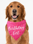 Pet Text Letters Print bib