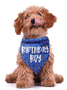 Pet Text Letters Print bib
