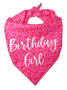 Pet Text Letters Print bib