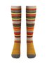 Stripes Underwear & Socks