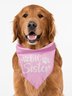Pet Character Print Bib