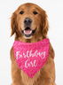 Pet Text Letters Print bib